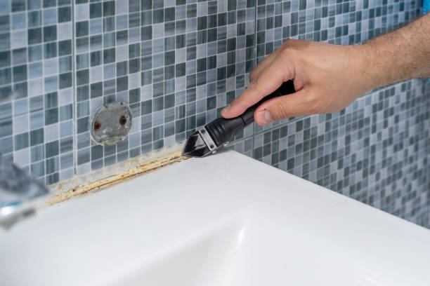 Best Commercial Mold Removal  in Mattoon, IL